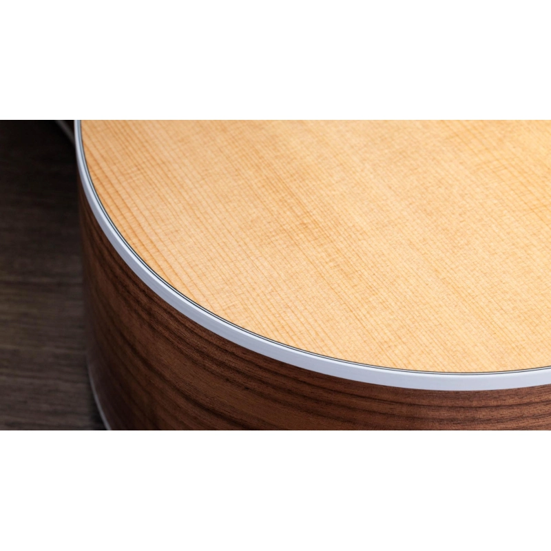 Taylor 210ce,Walnut/Spruce