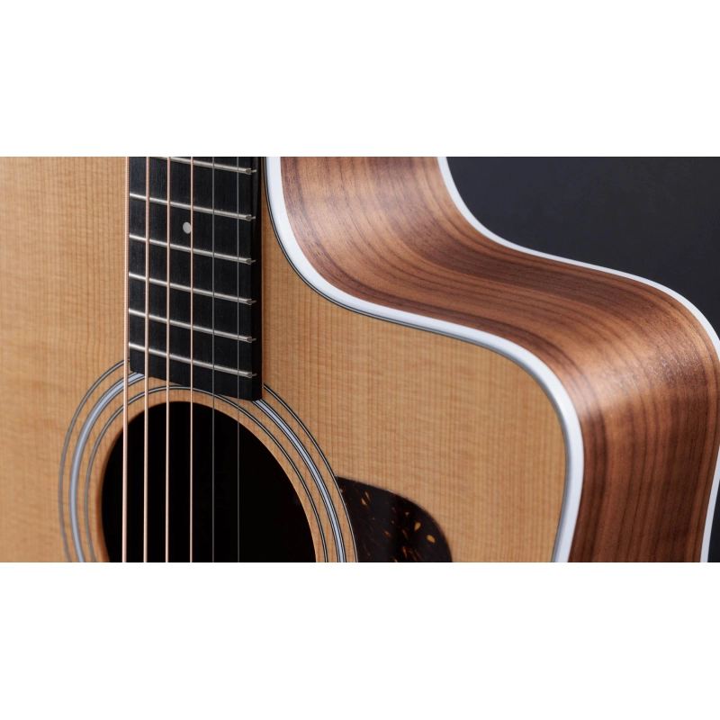 Taylor 210ce,Walnut/Spruce