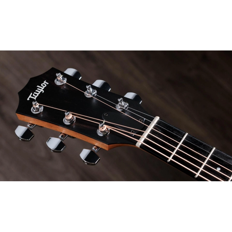 Taylor 210ce,Walnut/Spruce