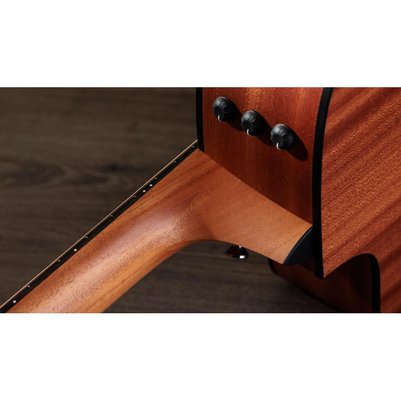 Taylor 210ce,Walnut/Spruce