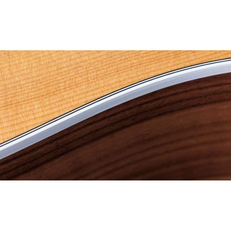 Taylor 210ce,Walnut/Spruce