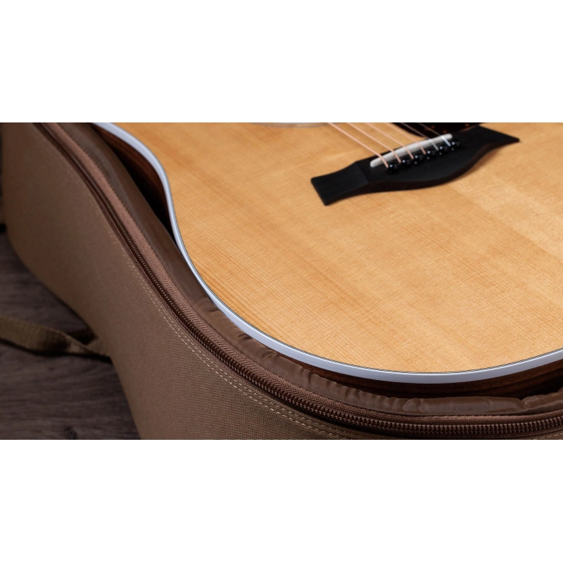Taylor 210ce,Walnut/Spruce