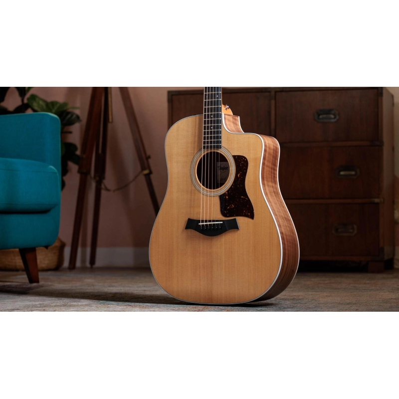 Taylor 210ce,Walnut/Spruce