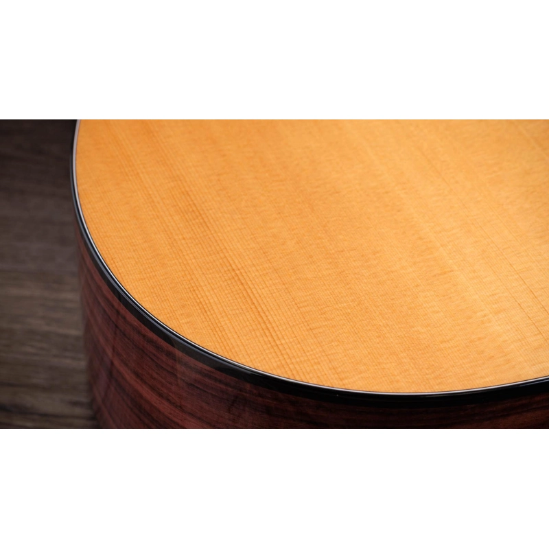 Taylor 210ce plus Rosewood Dreadnought