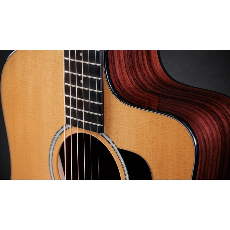 Taylor 210ce plus Rosewood Dreadnought