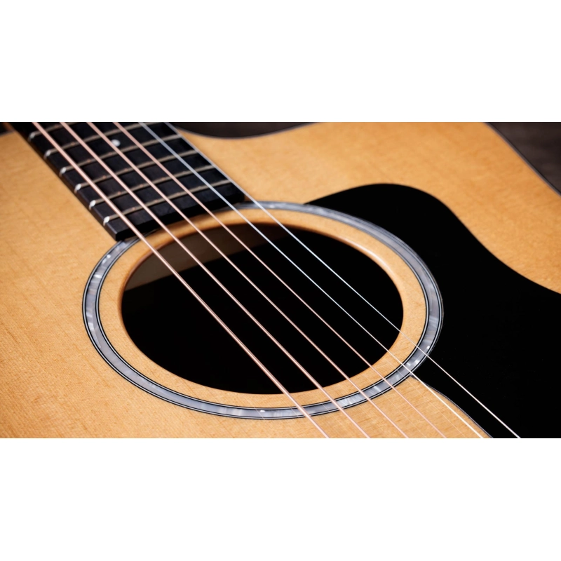 Taylor 210ce plus Rosewood Dreadnought