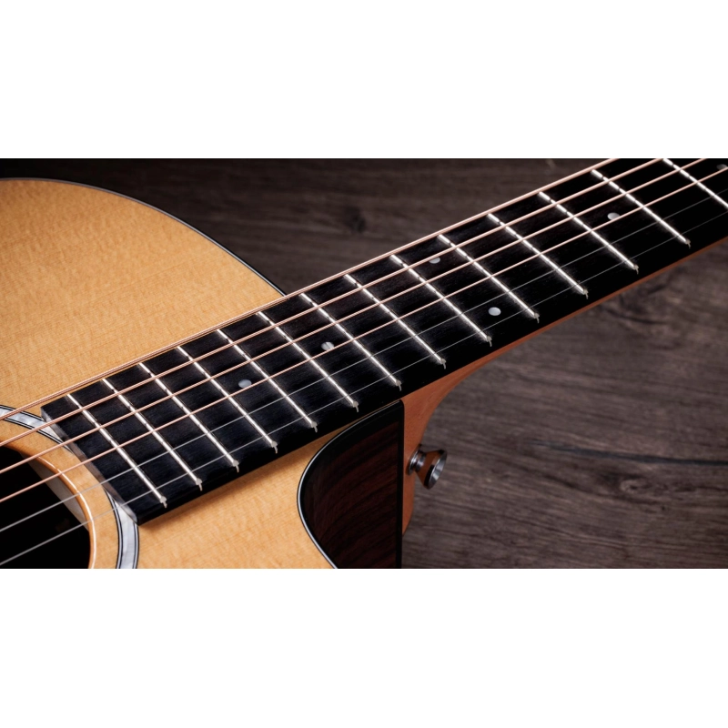 Taylor 210ce plus Rosewood Dreadnought