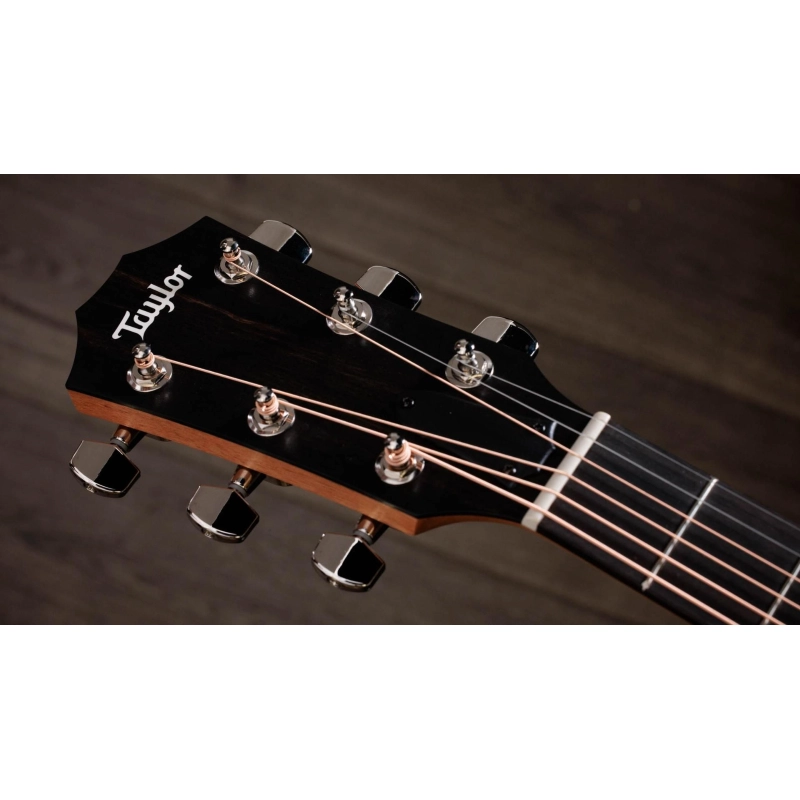 Taylor 210ce plus Rosewood Dreadnought