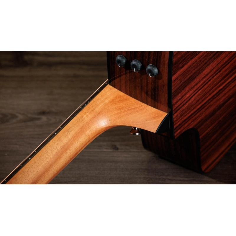 Taylor 210ce plus Rosewood Dreadnought