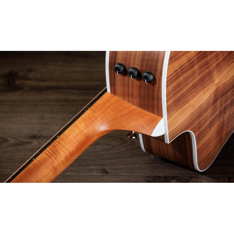 Taylor 214ce Walnut Spruce Grand Auditorium