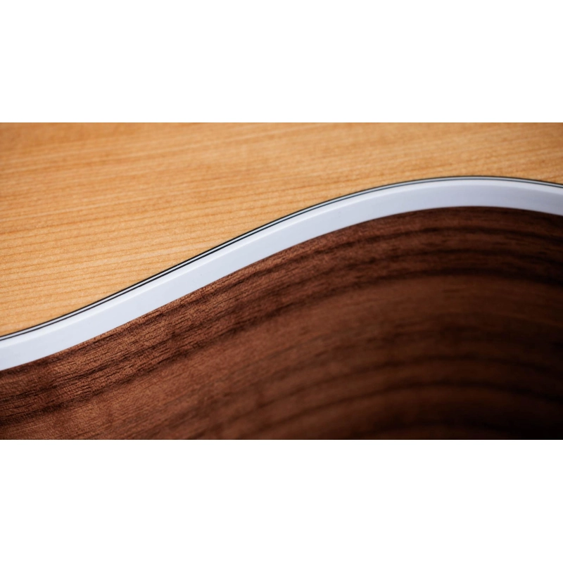 Taylor 214ce Walnut Spruce Grand Auditorium