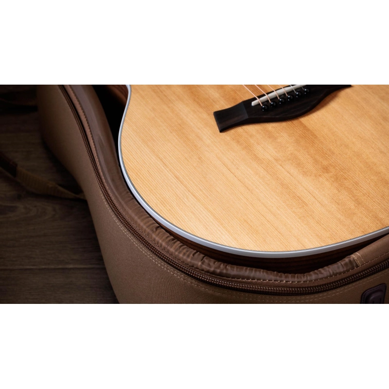 Taylor 214ce Walnut Spruce Grand Auditorium