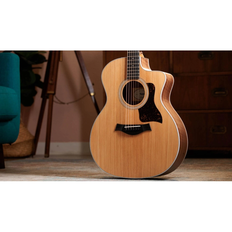 Taylor 214ce Walnut Spruce Grand Auditorium