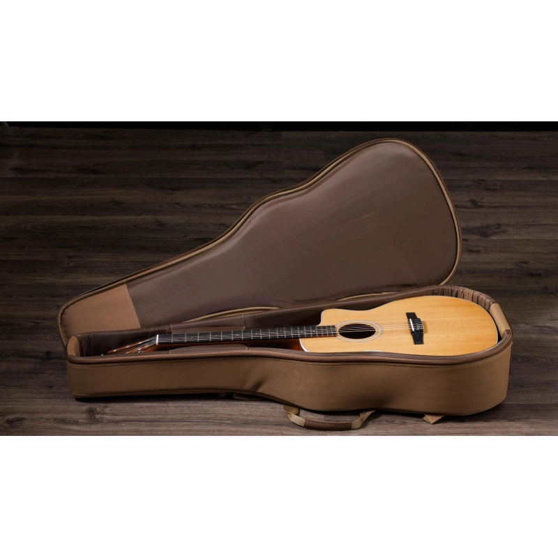 Taylor 214ce-N Walnut Spruce Grand Auditorium corde Nylon