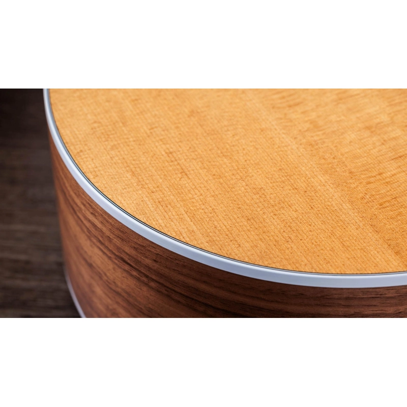 Taylor 214ce-N Walnut Spruce Grand Auditorium corde Nylon