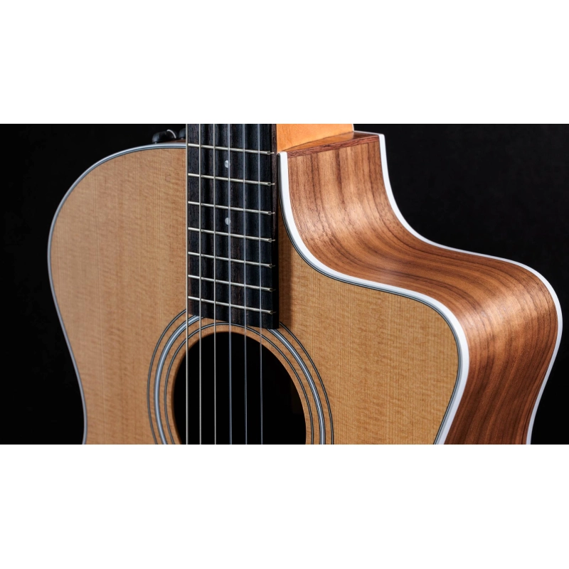 Taylor 214ce-N Walnut Spruce Grand Auditorium corde Nylon