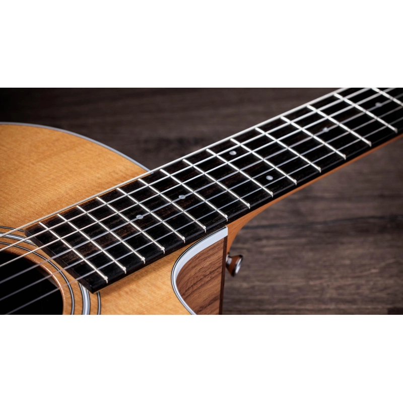 Taylor 214ce-N Walnut Spruce Grand Auditorium corde Nylon