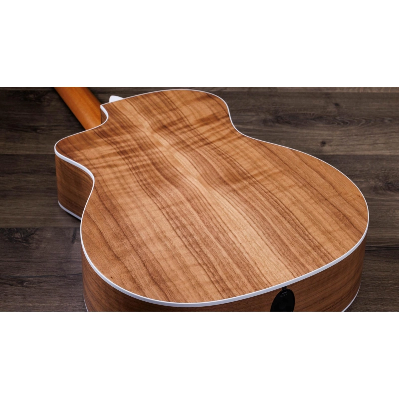 Taylor 214ce-N Walnut Spruce Grand Auditorium corde Nylon