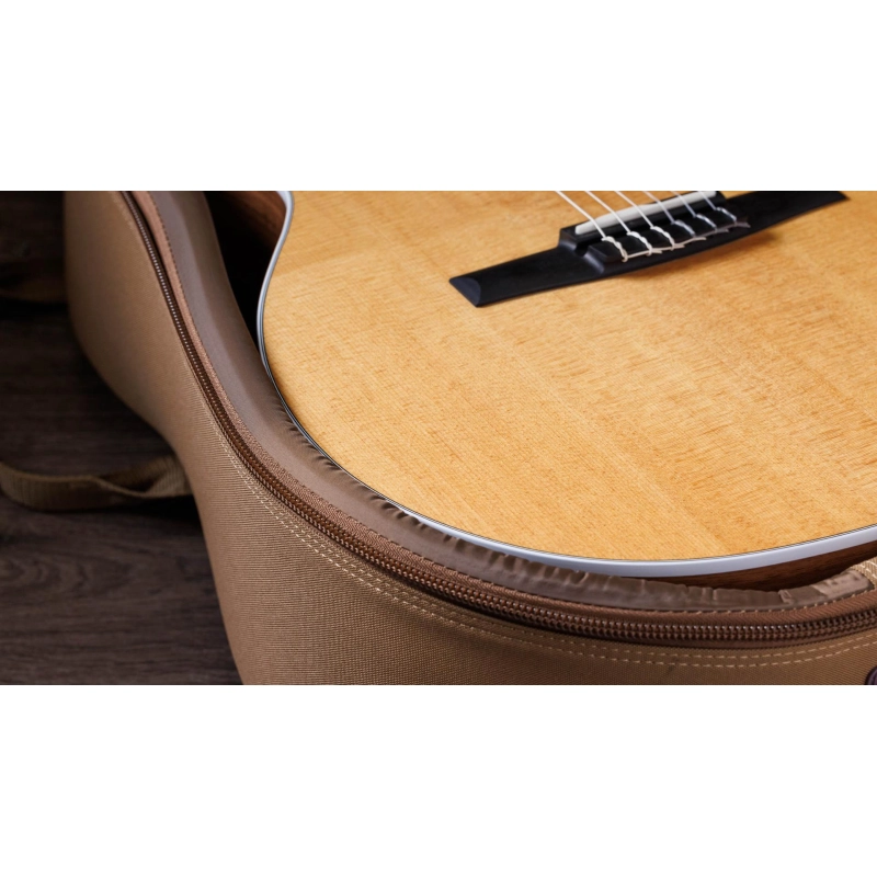 Taylor 214ce-N Walnut Spruce Grand Auditorium corde Nylon
