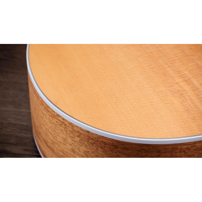 Taylor 214ce K finitura Koa Spruce Grand Auditorium