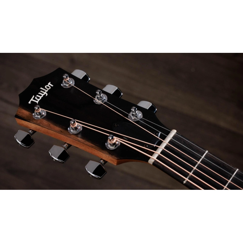 Taylor 214ce K finitura Koa Spruce Grand Auditorium