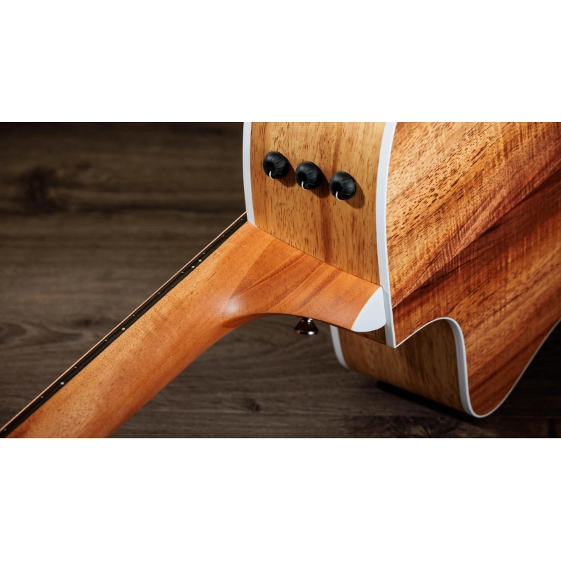 Taylor 214ce K finitura Koa Spruce Grand Auditorium