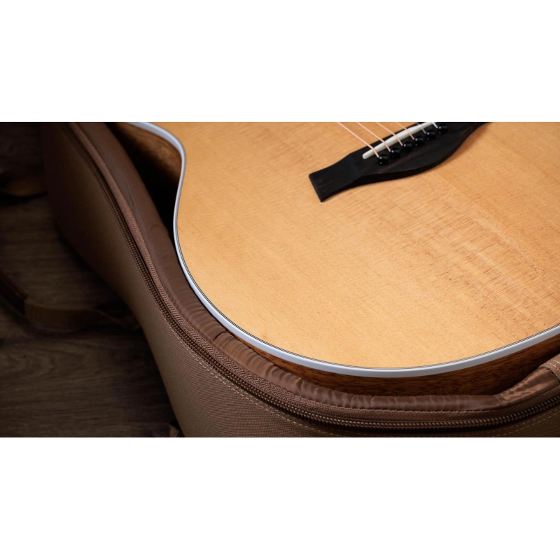 Taylor 214ce K finitura Koa Spruce Grand Auditorium
