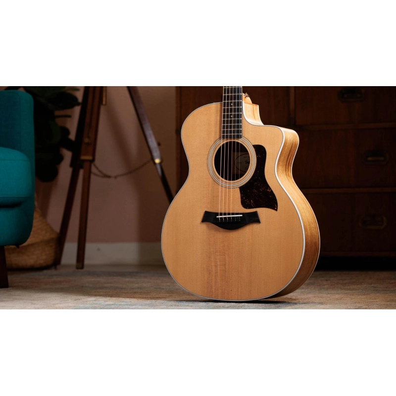 Taylor 214ce K finitura Koa Spruce Grand Auditorium