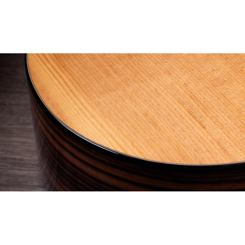 Taylor 214ce Plus Rosewood Spruce