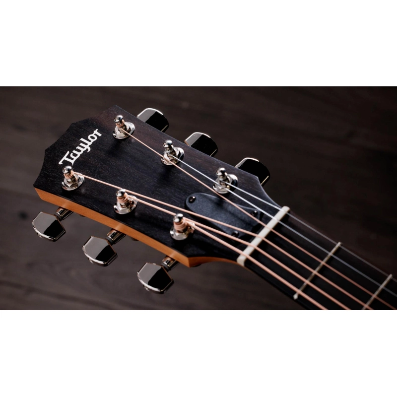 Taylor 214ce Plus Rosewood Spruce