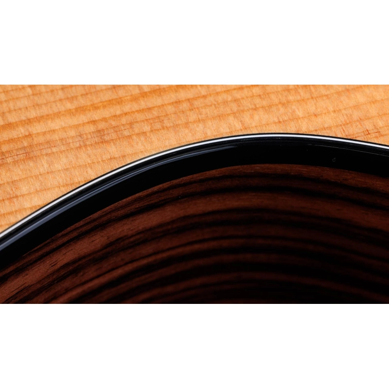Taylor 214ce Plus Rosewood Spruce