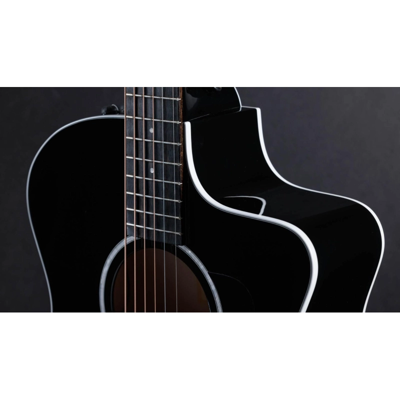 Taylor 214ce BLK Plus Spruce Maple finitura black Grand Auditorium