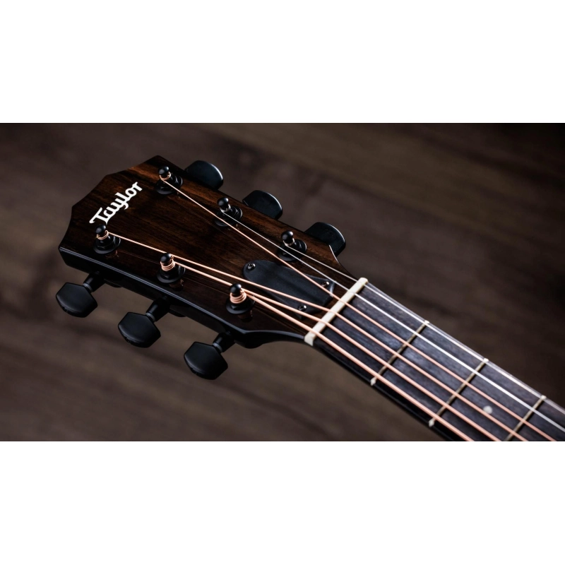 Taylor 214ce BLK Plus Spruce Maple finitura black Grand Auditorium