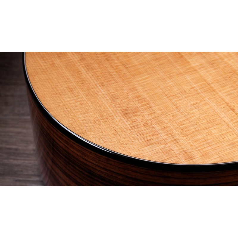 Taylor 254ce Plus Rosewood Spruce 12 corde acustica elettrificata Grand Auditorium