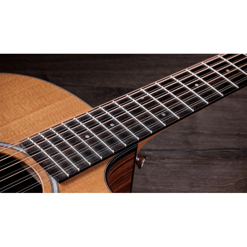 Taylor 254ce Plus Rosewood Spruce 12 corde acustica elettrificata Grand Auditorium