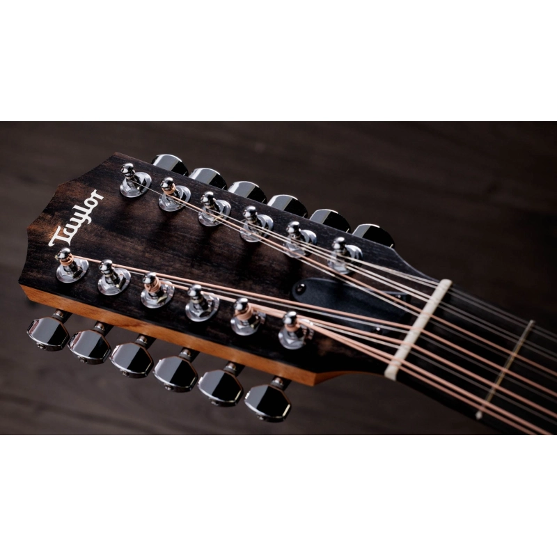 Taylor 254ce Plus Rosewood Spruce 12 corde acustica elettrificata Grand Auditorium