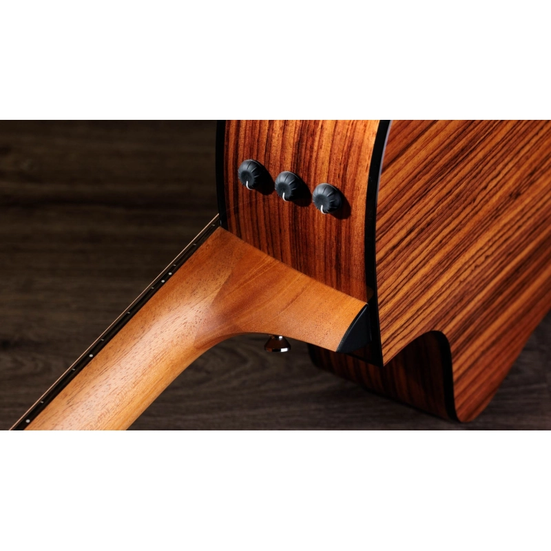 Taylor 254ce Plus Rosewood Spruce 12 corde acustica elettrificata Grand Auditorium