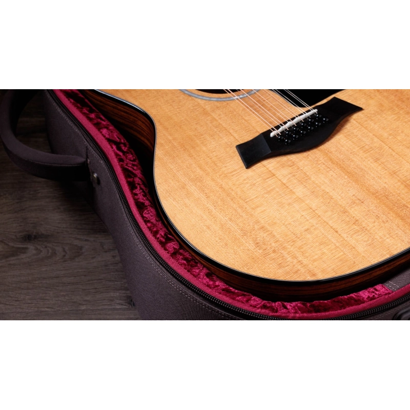 Taylor 254ce Plus Rosewood Spruce 12 corde acustica elettrificata Grand Auditorium