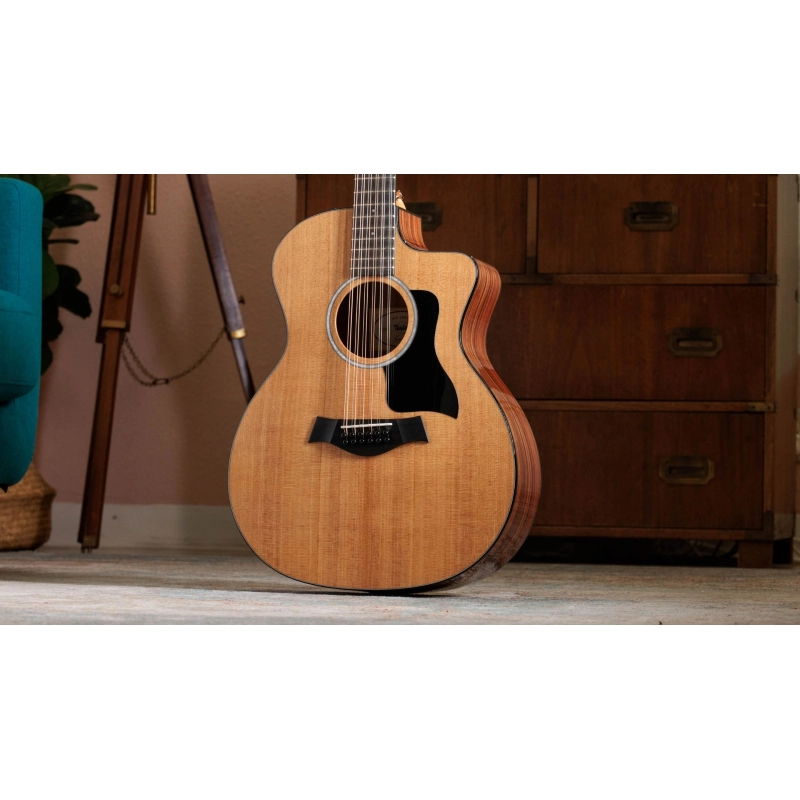 Taylor 254ce Plus Rosewood Spruce 12 corde acustica elettrificata Grand Auditorium