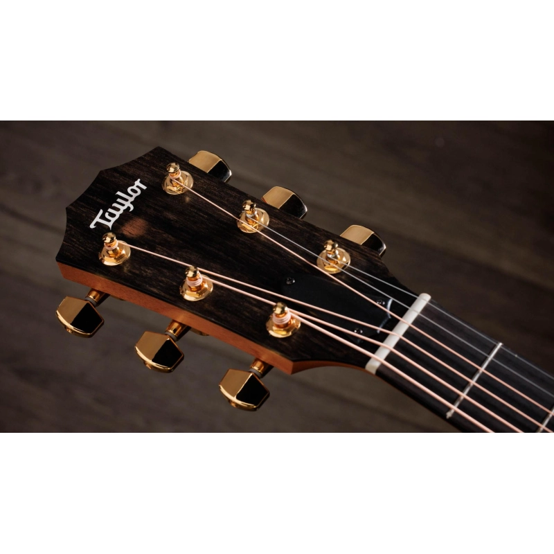 Taylor 224ce-K DLX Koa/Koa Grand Auditorium