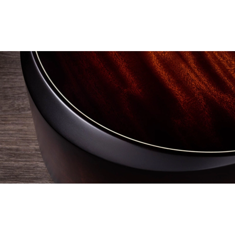 Taylor Builder's Edition 324ce V-Class Bracing Grand Auditorium