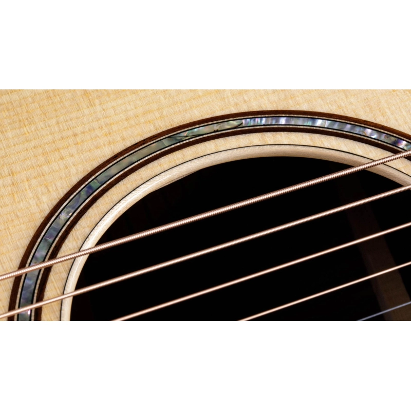 Taylor 814ce V-Class Bracing Grand Auditorium