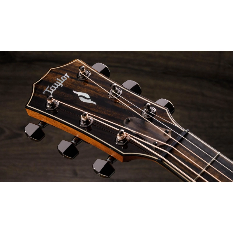 Taylor 814ce V-Class Bracing Grand Auditorium