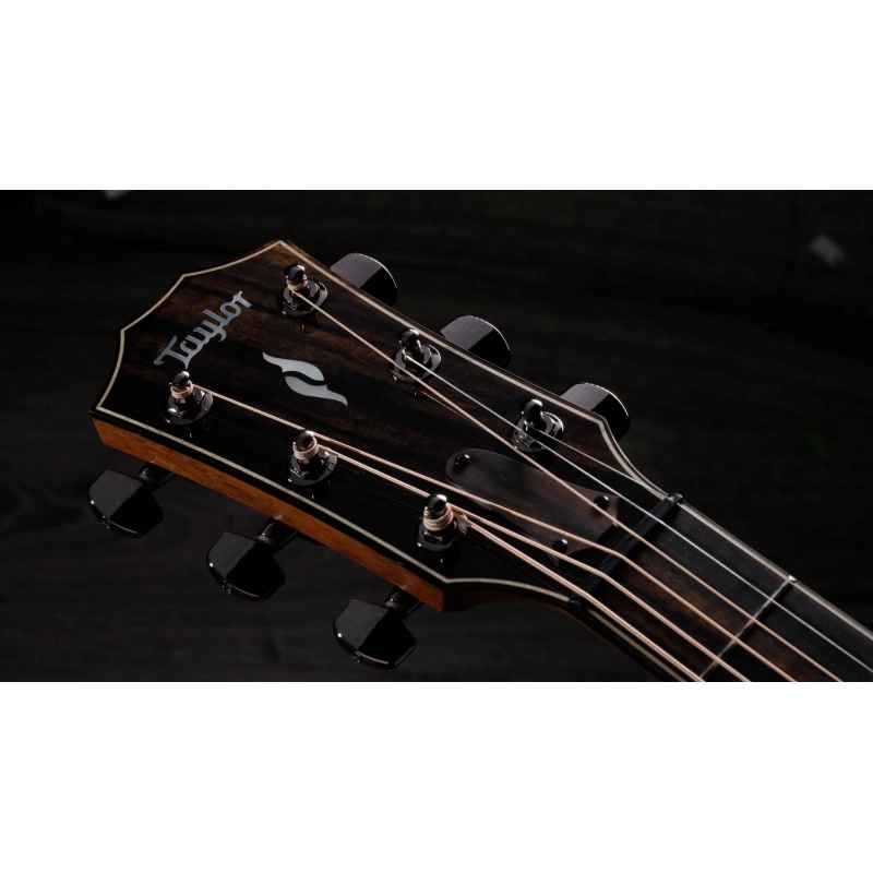 Taylor 814ce V-Class Bracing Grand Auditorium