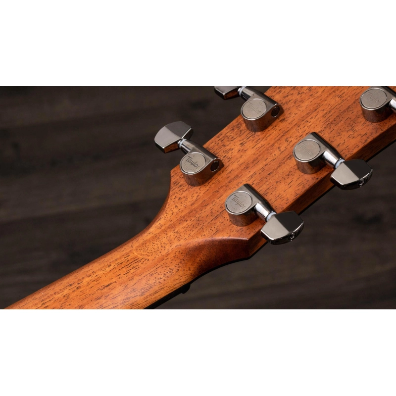 Taylor 814ce V-Class Bracing Grand Auditorium
