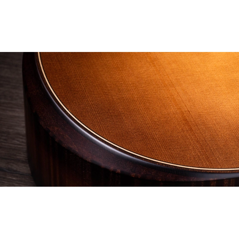 Taylor Builder's Edition 614ce V-Class Bracing Wild Honey Burst Grand Auditorium