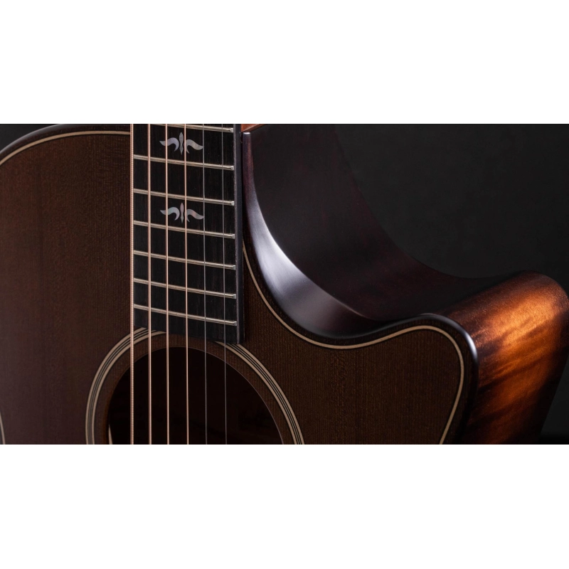 Taylor Builder's Edition 614ce V-Class Bracing Wild Honey Burst Grand Auditorium