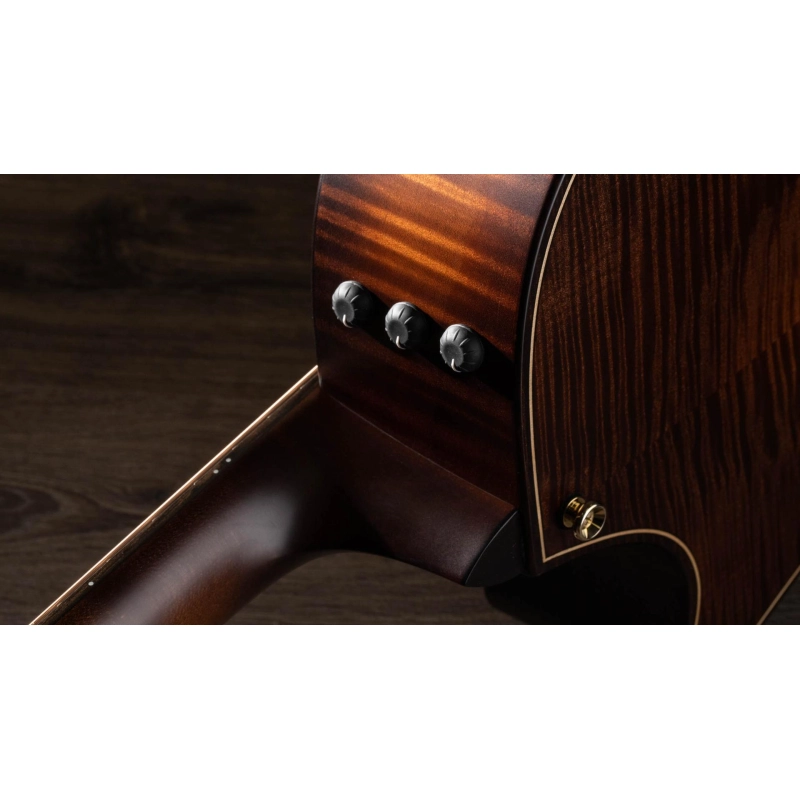 Taylor Builder's Edition 614ce V-Class Bracing Wild Honey Burst Grand Auditorium