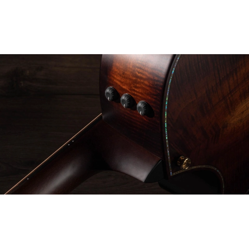Taylor Builder's Edition K24ce Grand Auditorium