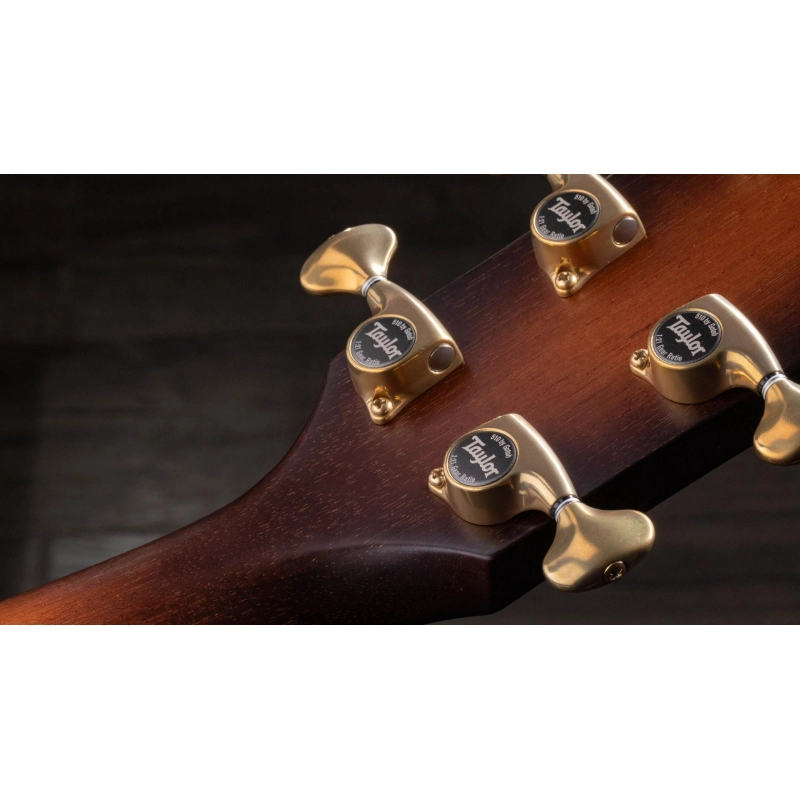 Taylor Builder's Edition K24ce Grand Auditorium